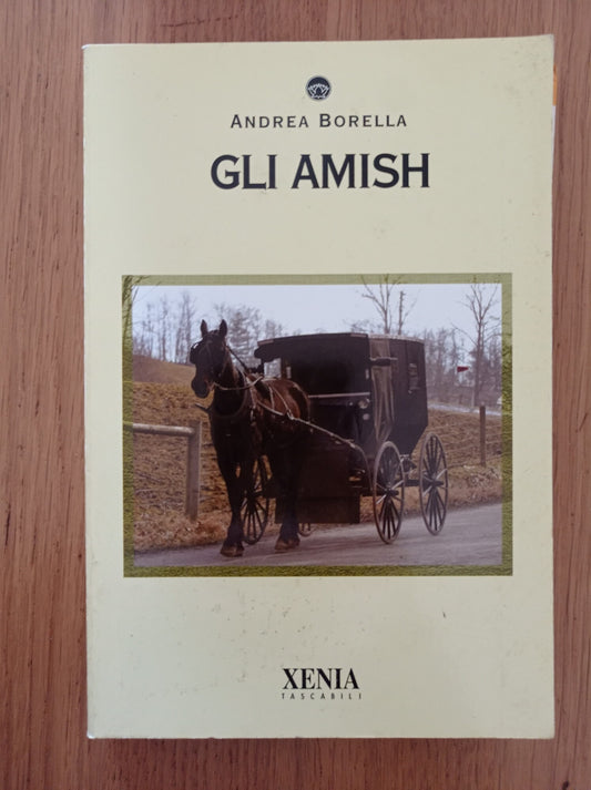 Gli amish - copertina
