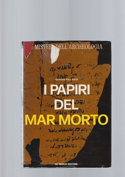 I PAPIRI DEL MAR MORTO - copertina