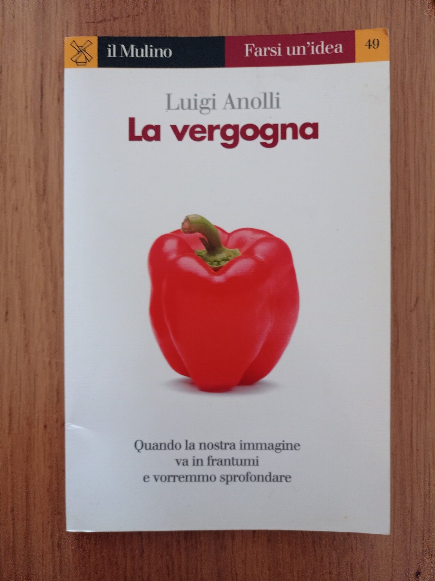 La vergogna - copertina