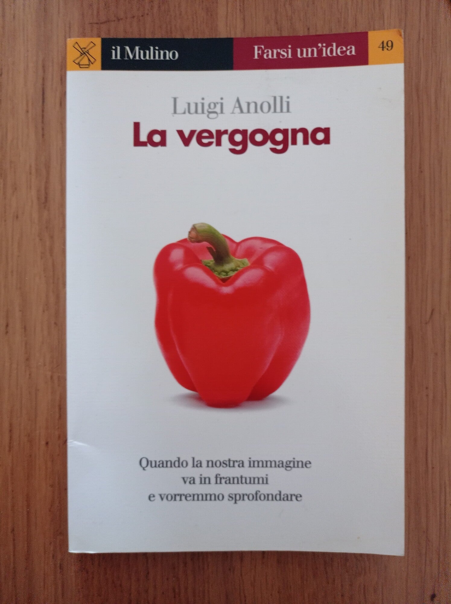 La vergogna - copertina