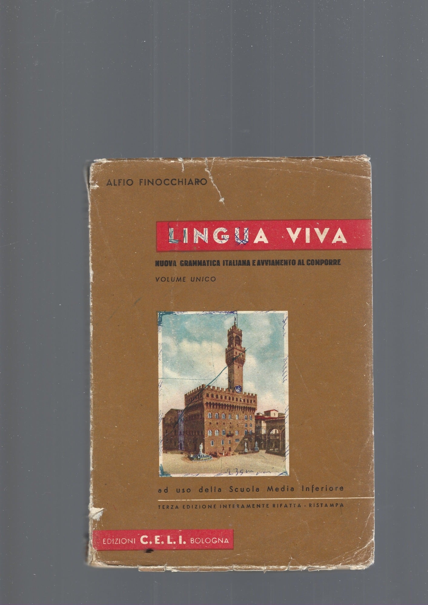LINGUA VIVA , NUOVA GRAMMATICA ITALIANA - copertina