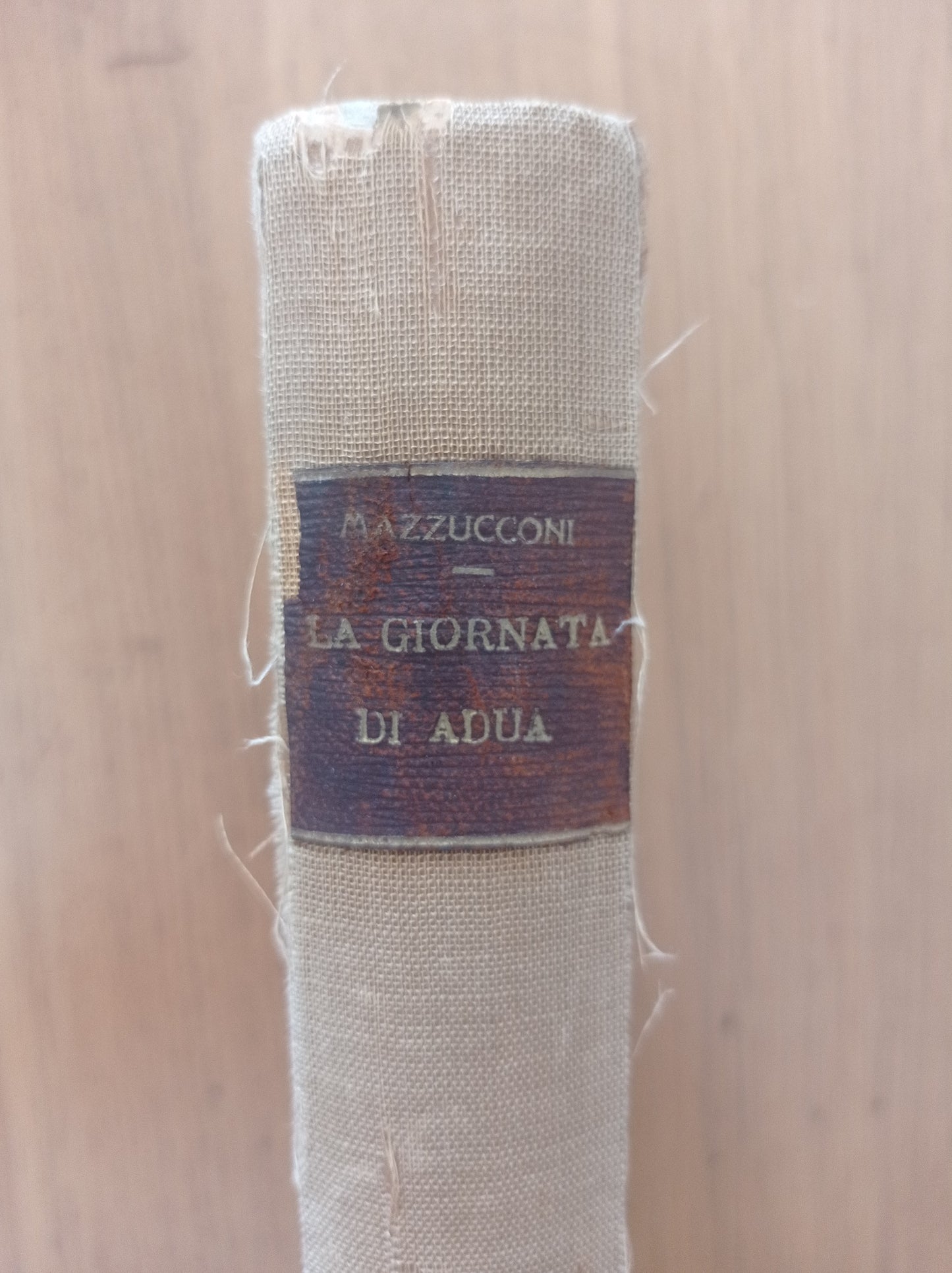 La giornata di Adua (1896) - copertina