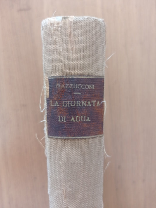 La giornata di Adua (1896) - copertina
