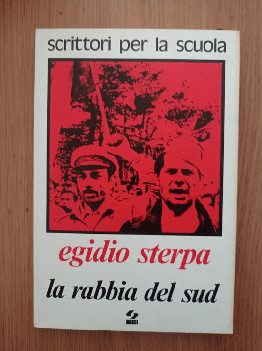 La rabbia del sud - copertina