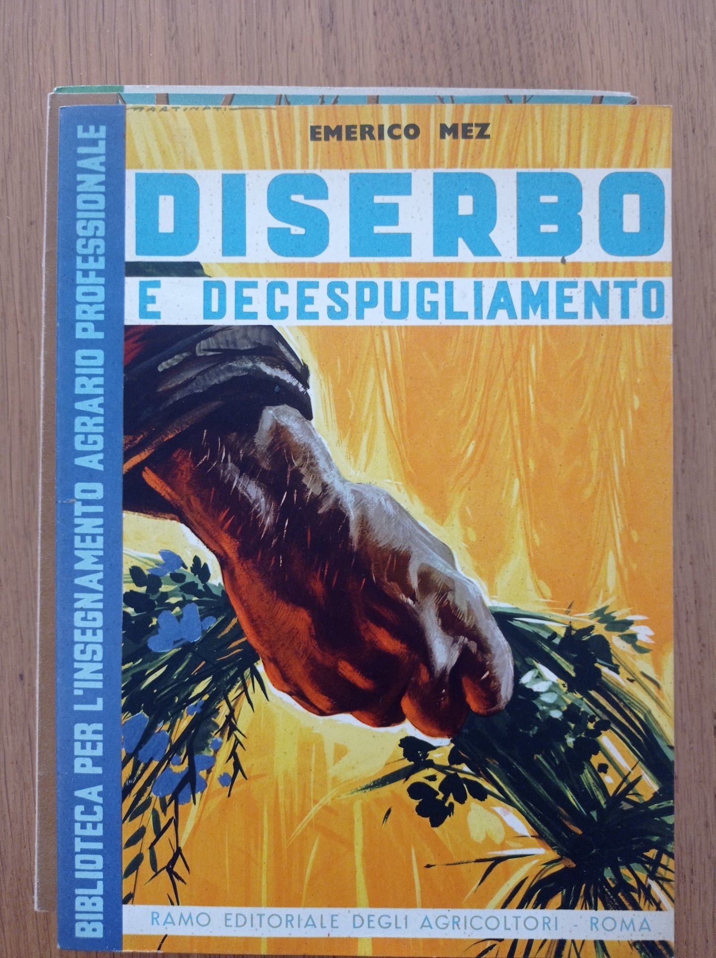 Diserbo e decespugliamento - copertina