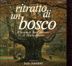 Ritratto di un bosco. Il bosco di Sant'Antonio di Pescocostanzo - copertina