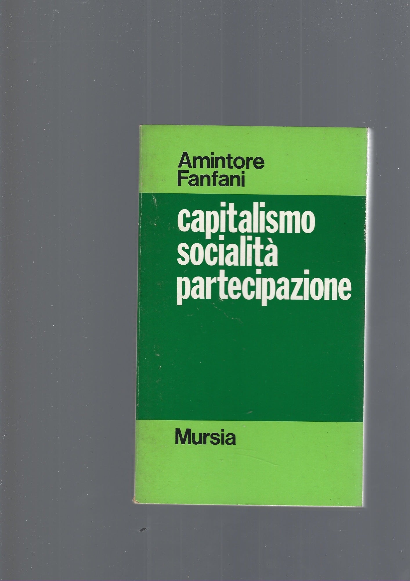CAPITALISMO   SOCIALITA'   PARTECIPAZIONE - copertina