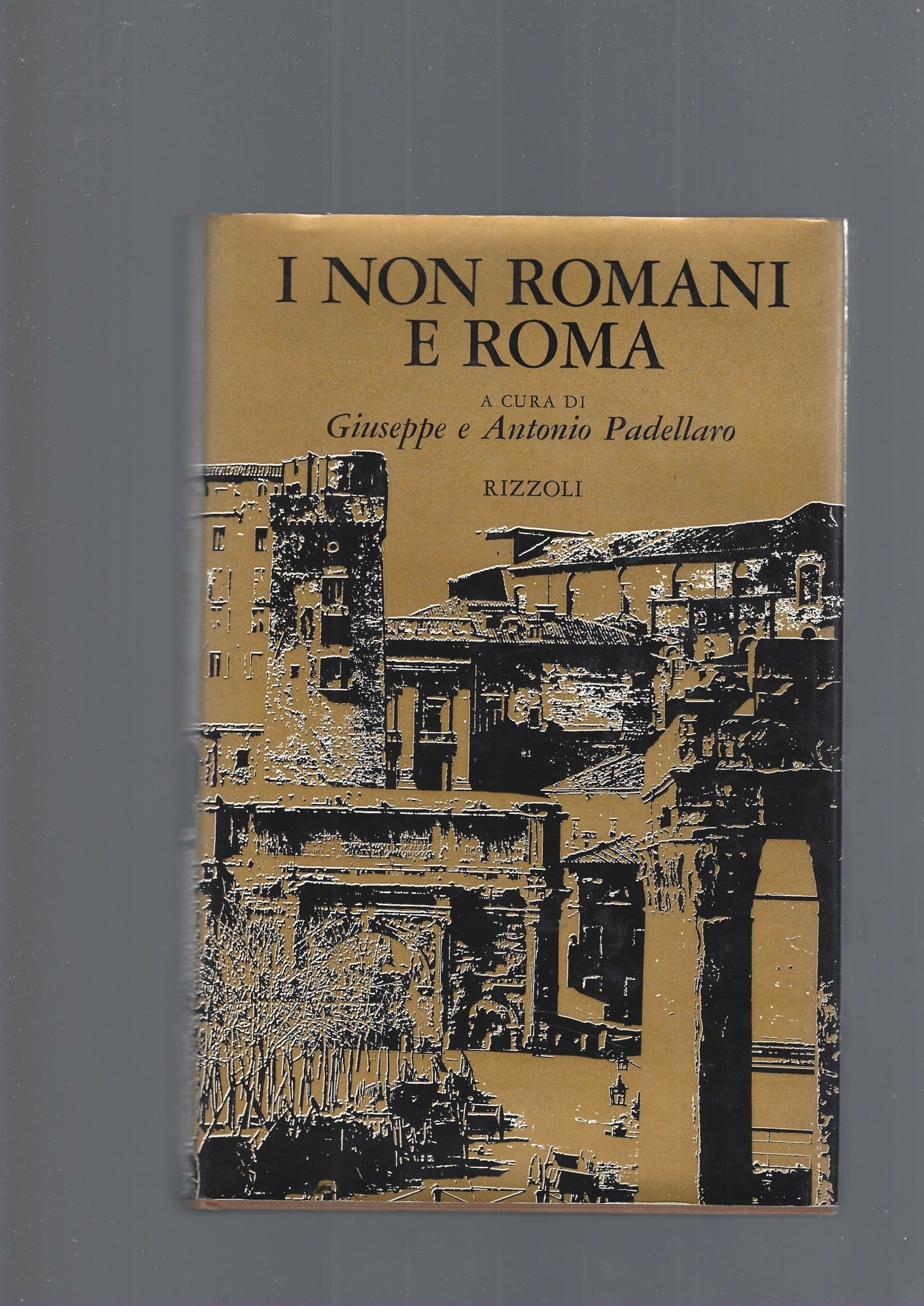 I NON ROMANI E ROMA - copertina