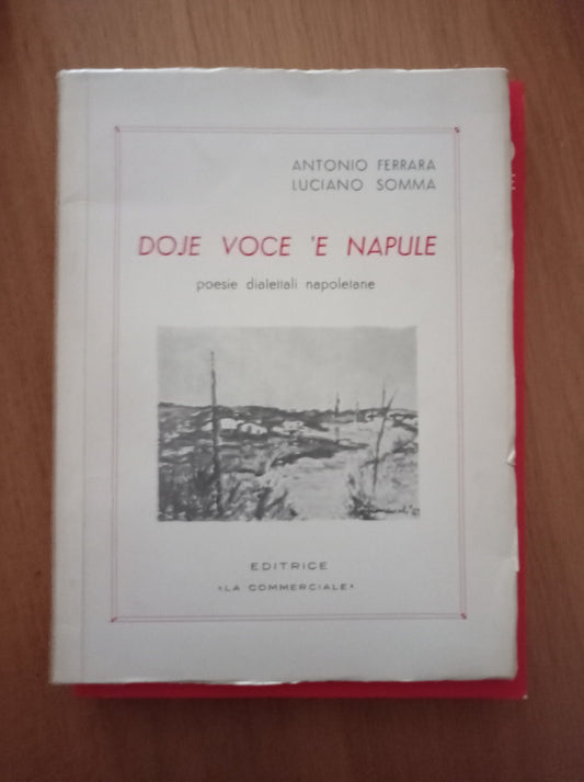 Doje voce 'e Napule - copertina