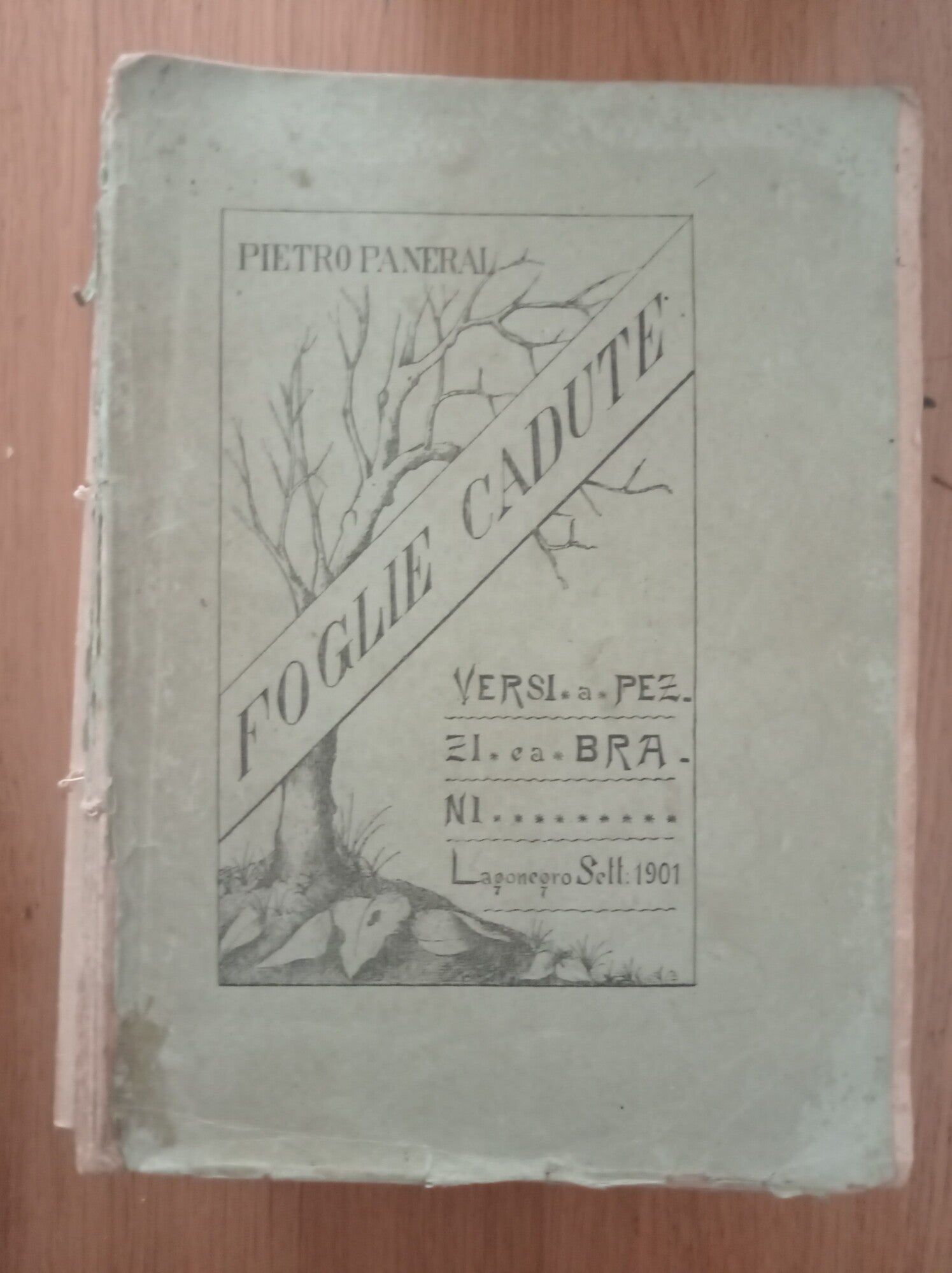 Foglie cadute - copertina