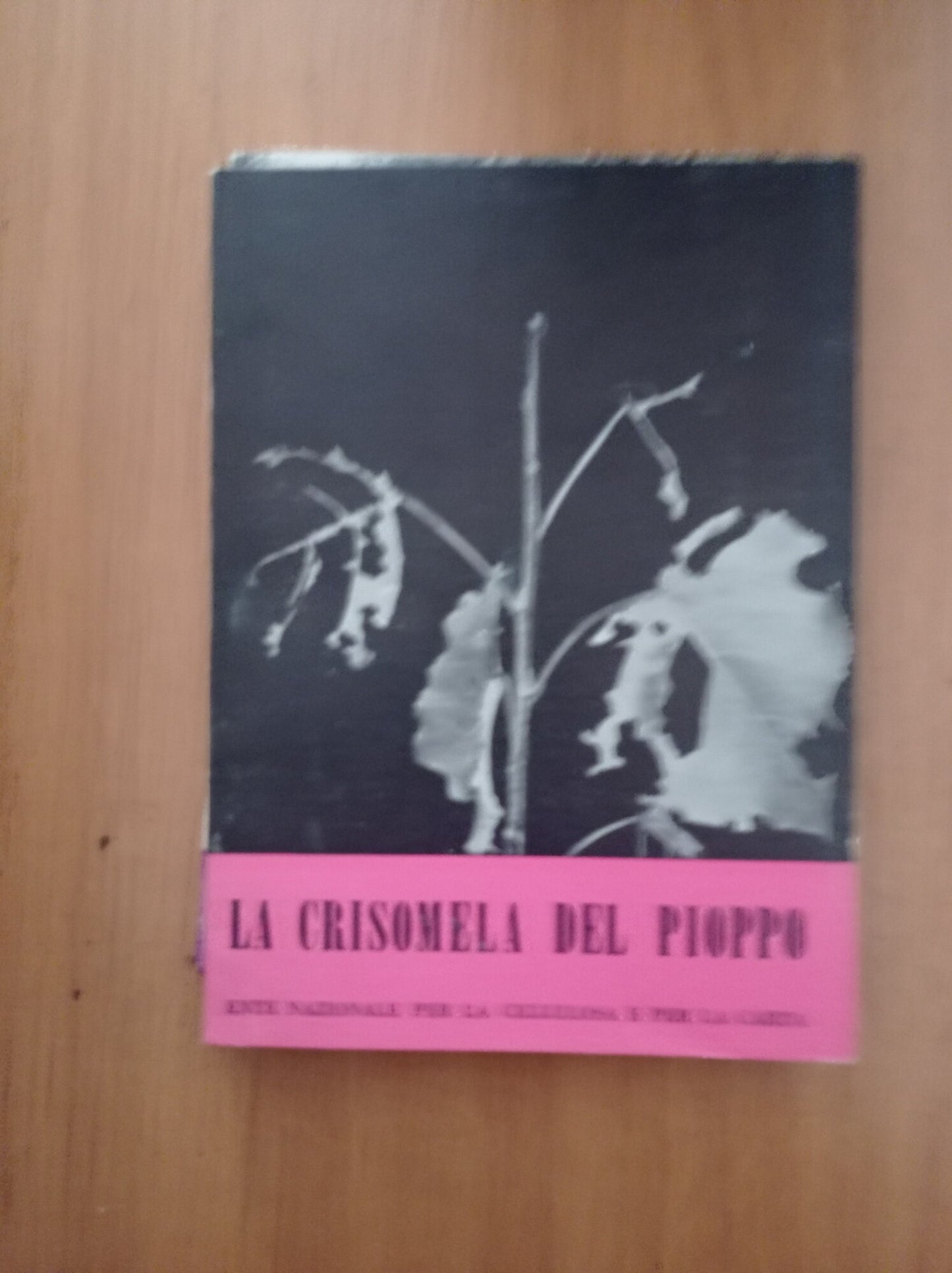La crisomela del pioppo - copertina