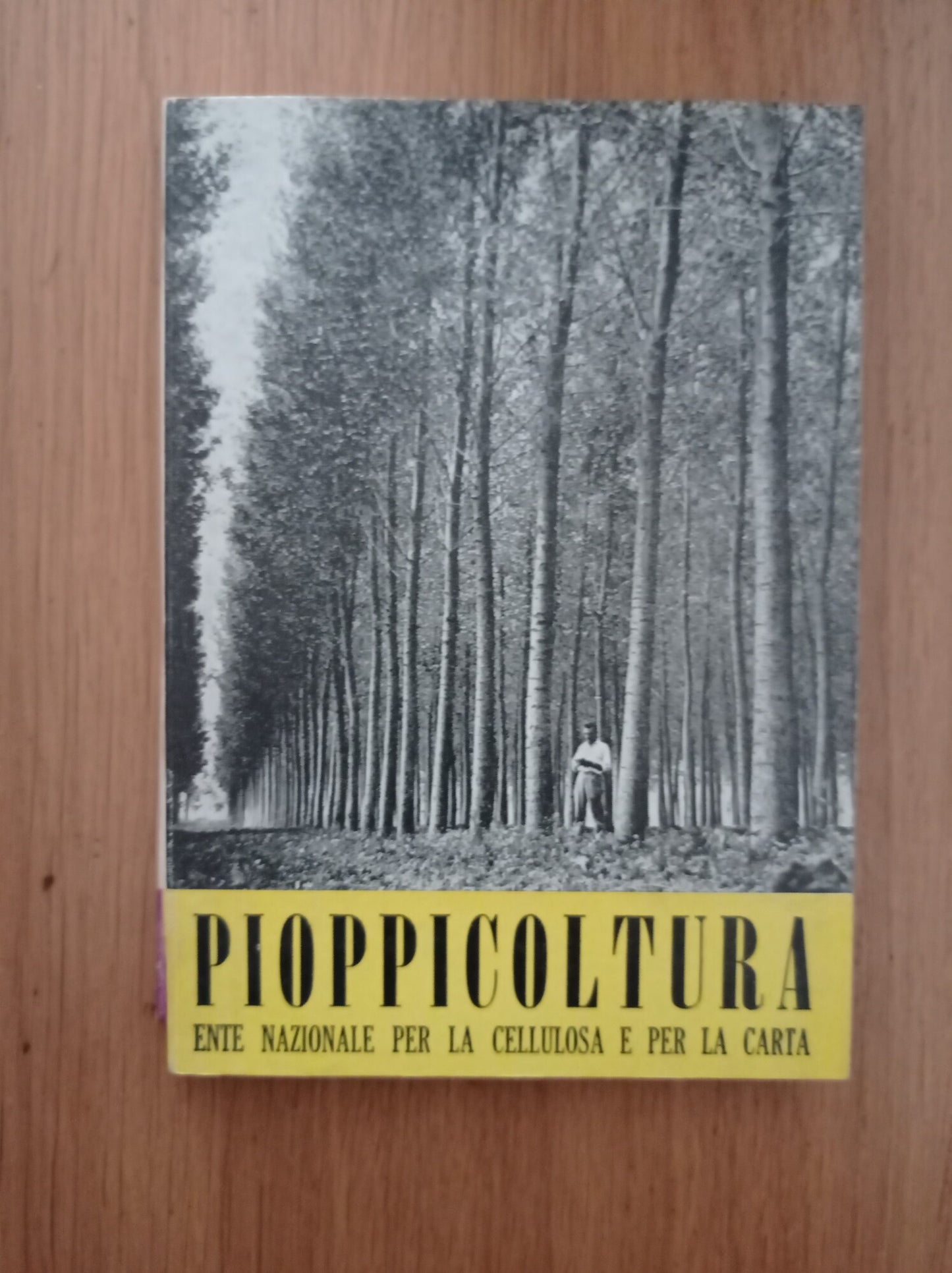 Pioppocoltura - copertina