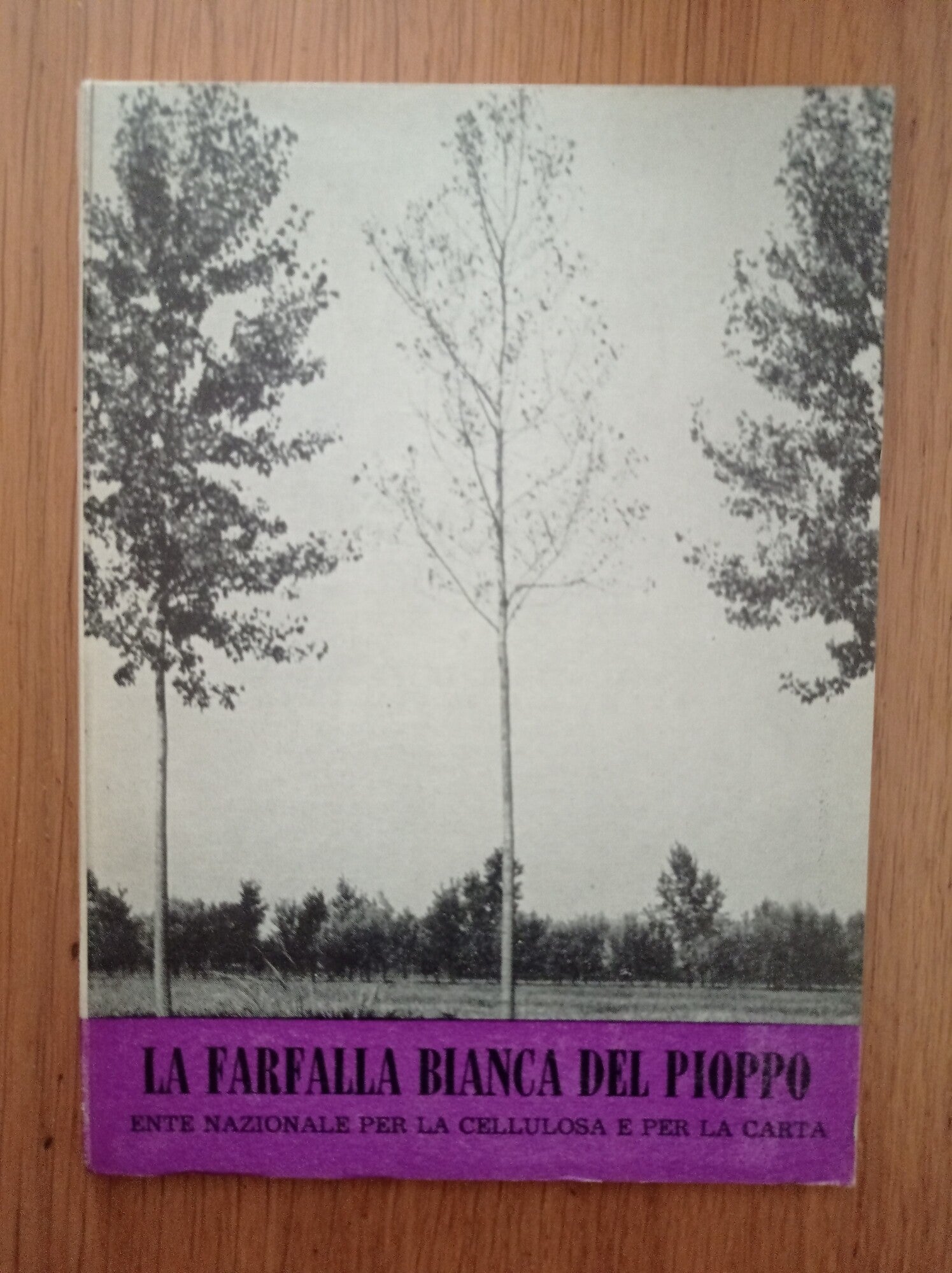 La farfalla bianca del pioppo - copertina