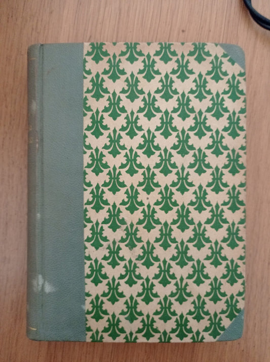 La madonnina degli Sleepings - copertina