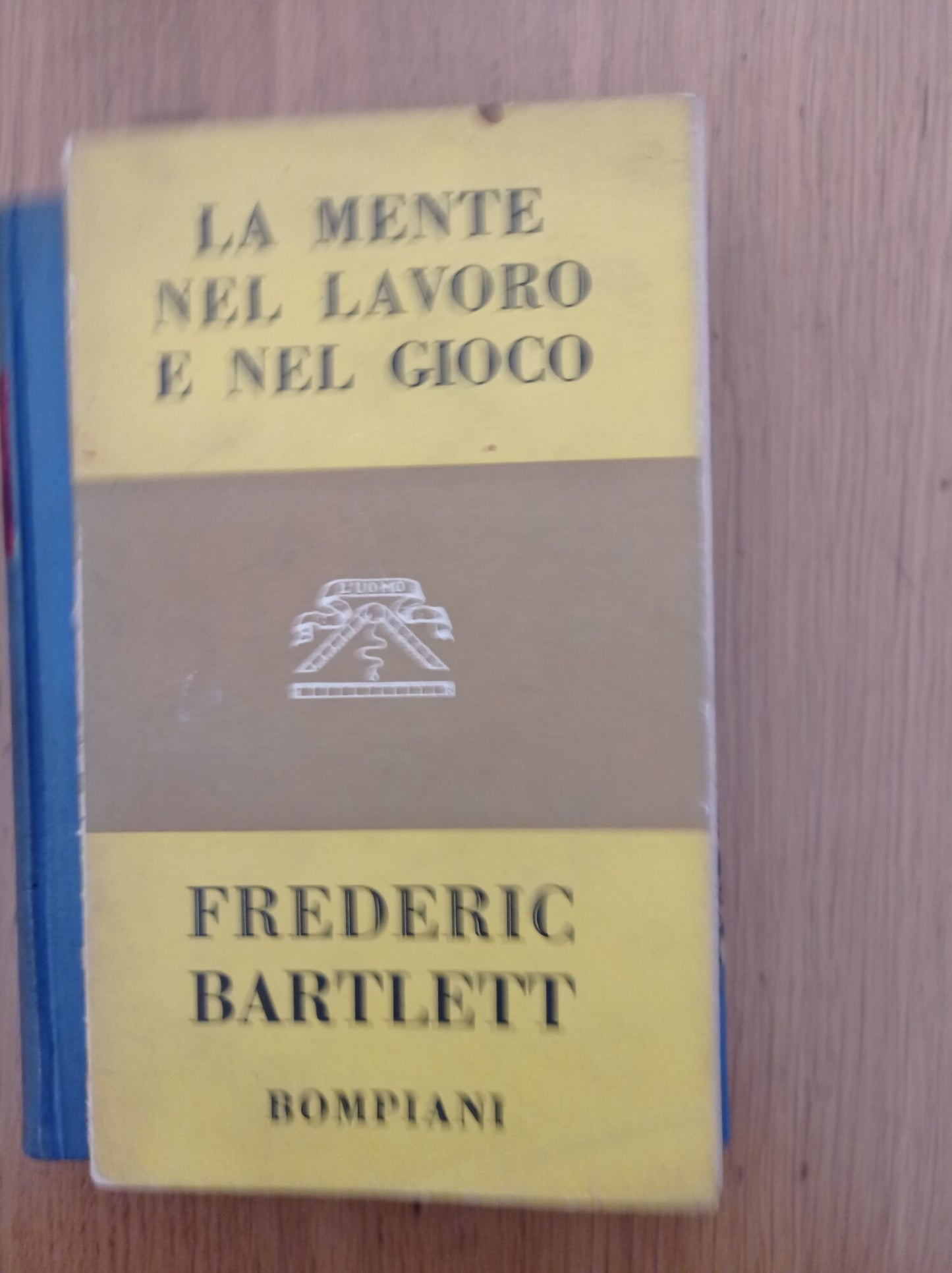 La mente nel lavoro e nel gioco - copertina