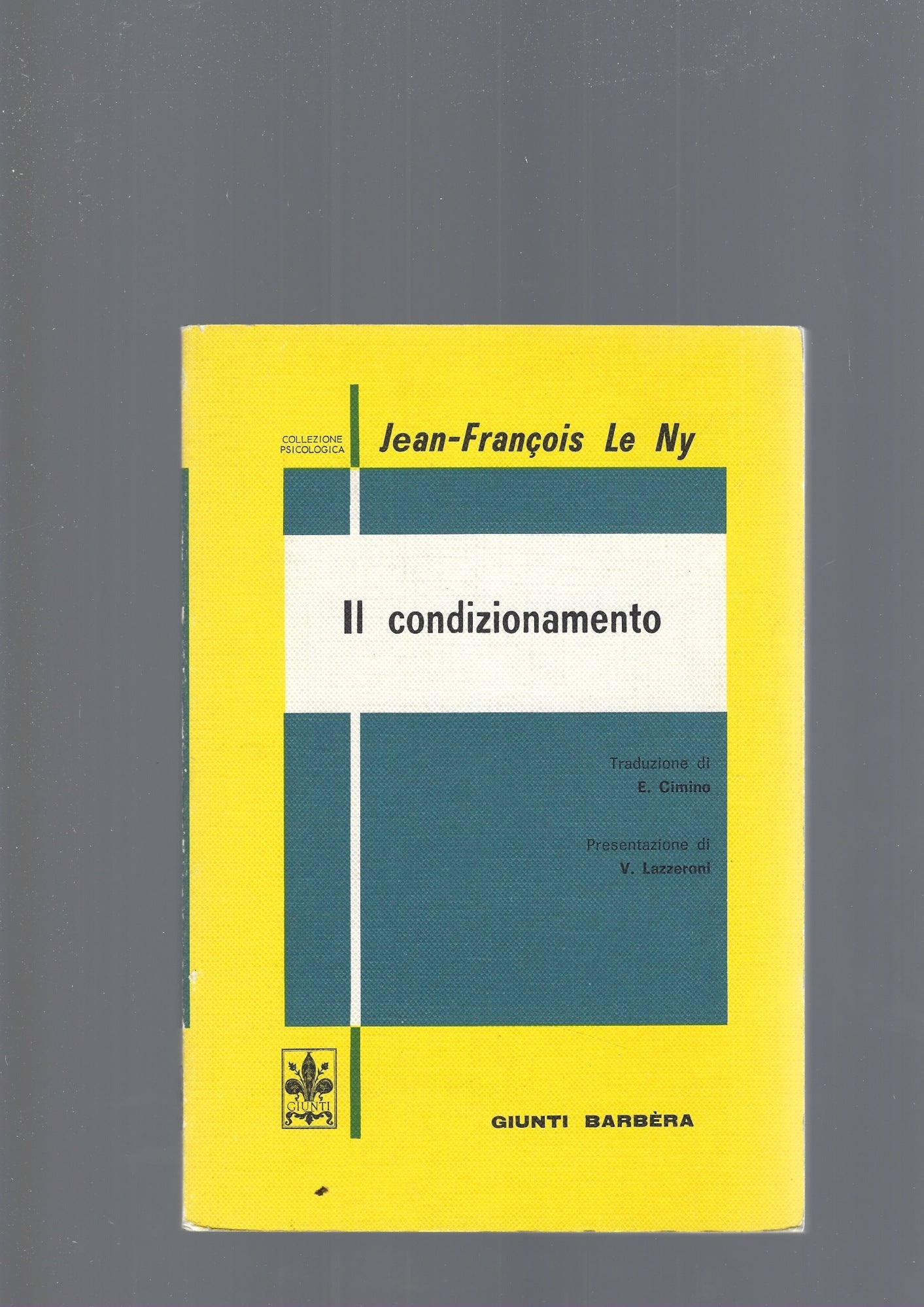 IL CONDIZIONAMENTO - copertina