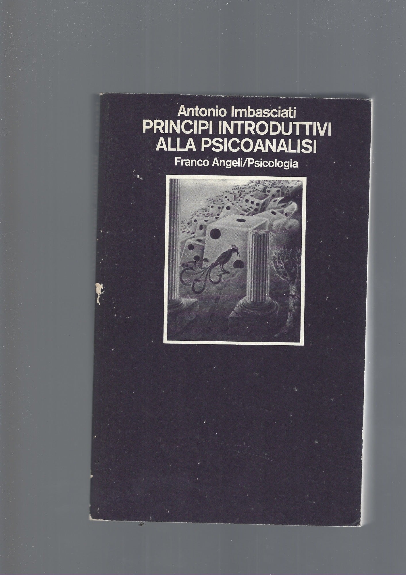 PRINCIPI INTRODUTTIVI ALLA PSICOANALISI - copertina