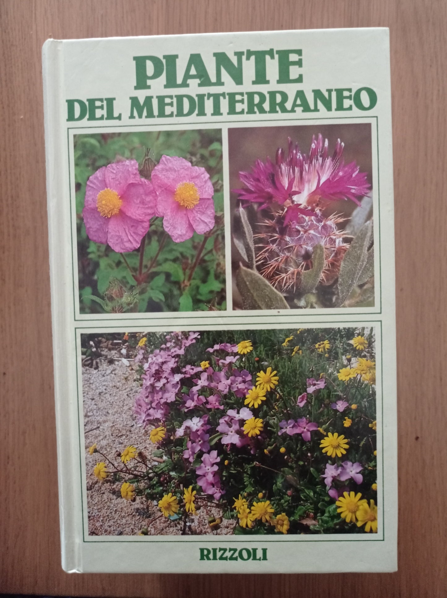 Piante del Mediterraneo - copertina