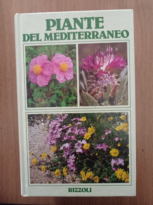 Piante del Mediterraneo - copertina