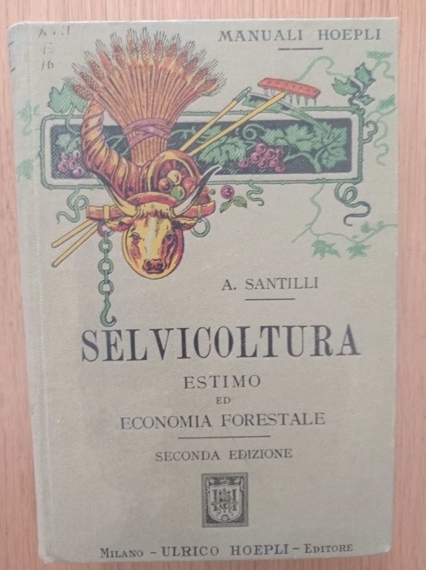Selvicoltura estimo ed economia forestale - copertina