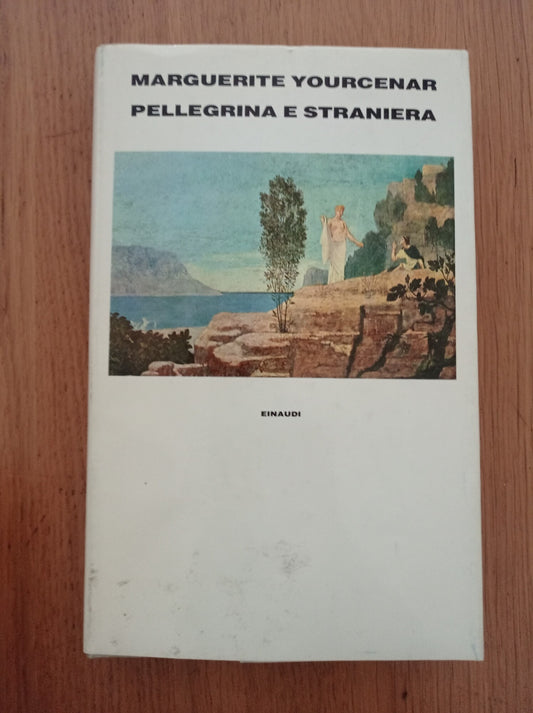 Pellegrina e straniera - copertina