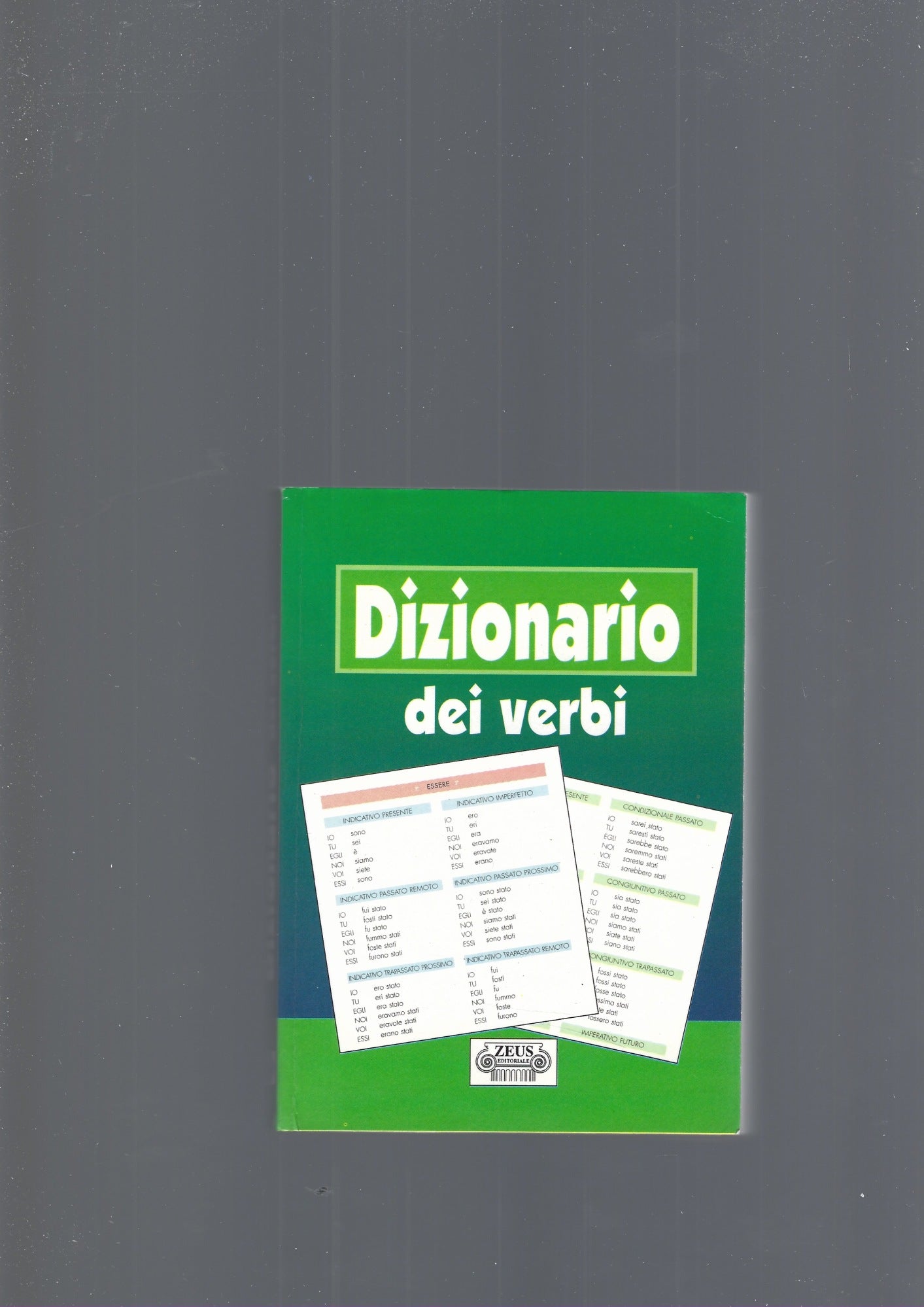 DIZIONARIO DEI VERBI - copertina