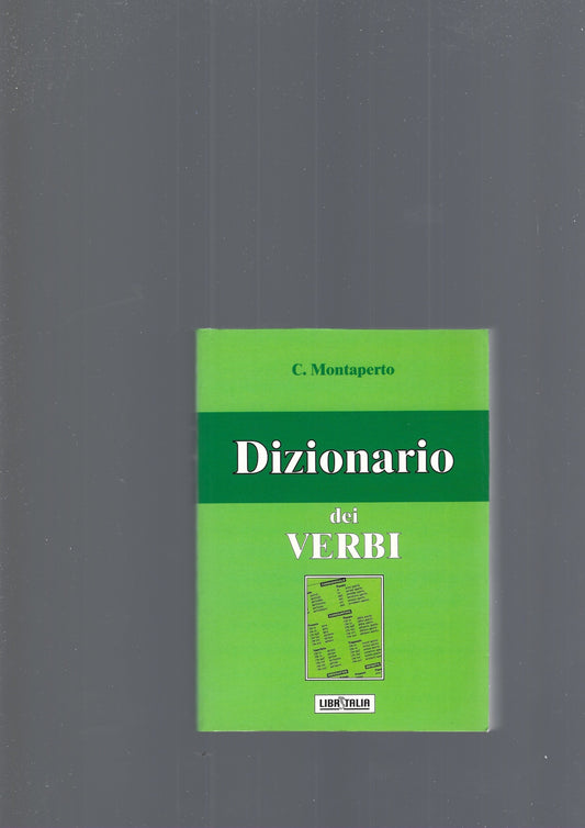 DIZIONARIO DEI VERBI - copertina