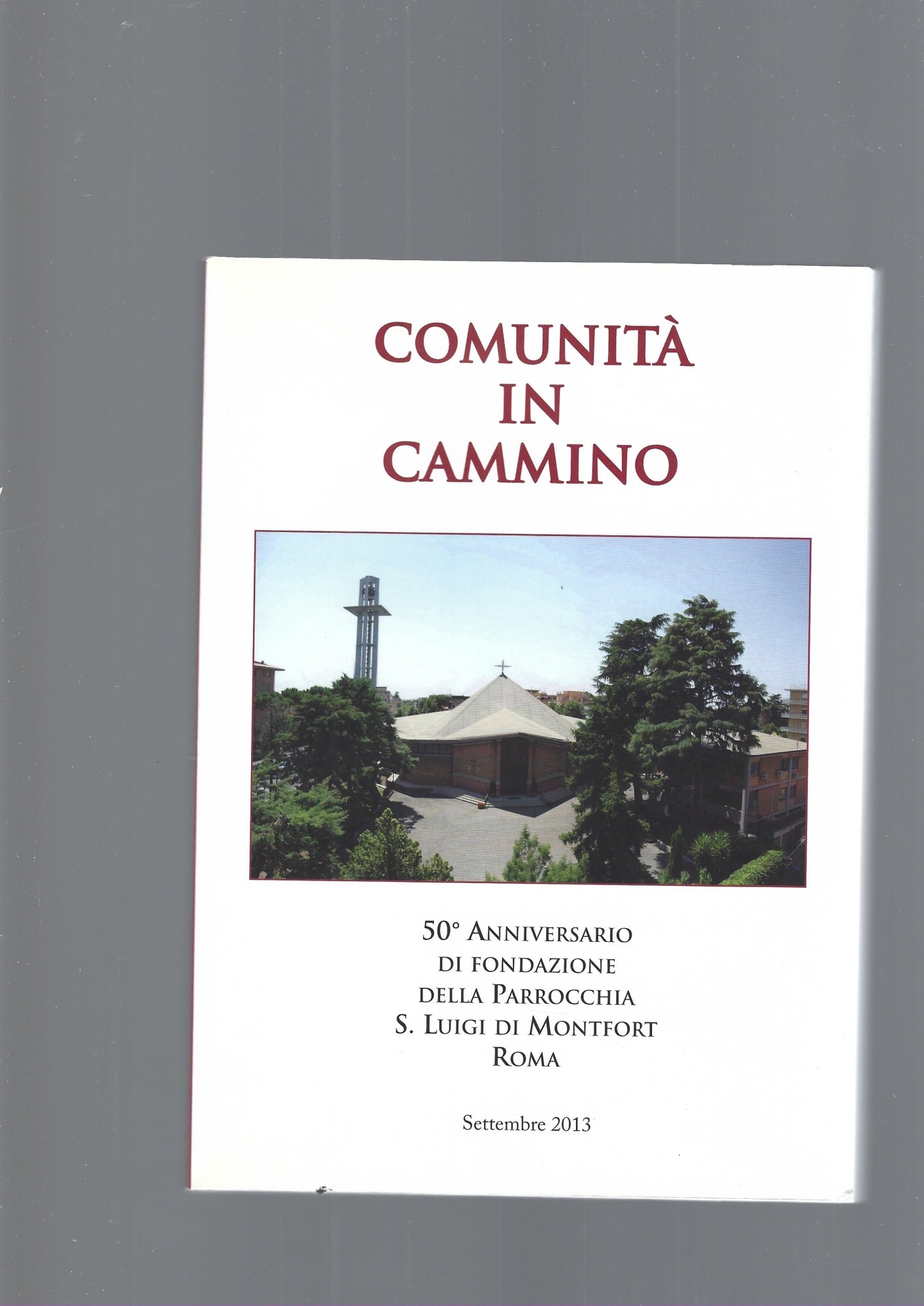 COMUNITA' IN CAMMINO - copertina
