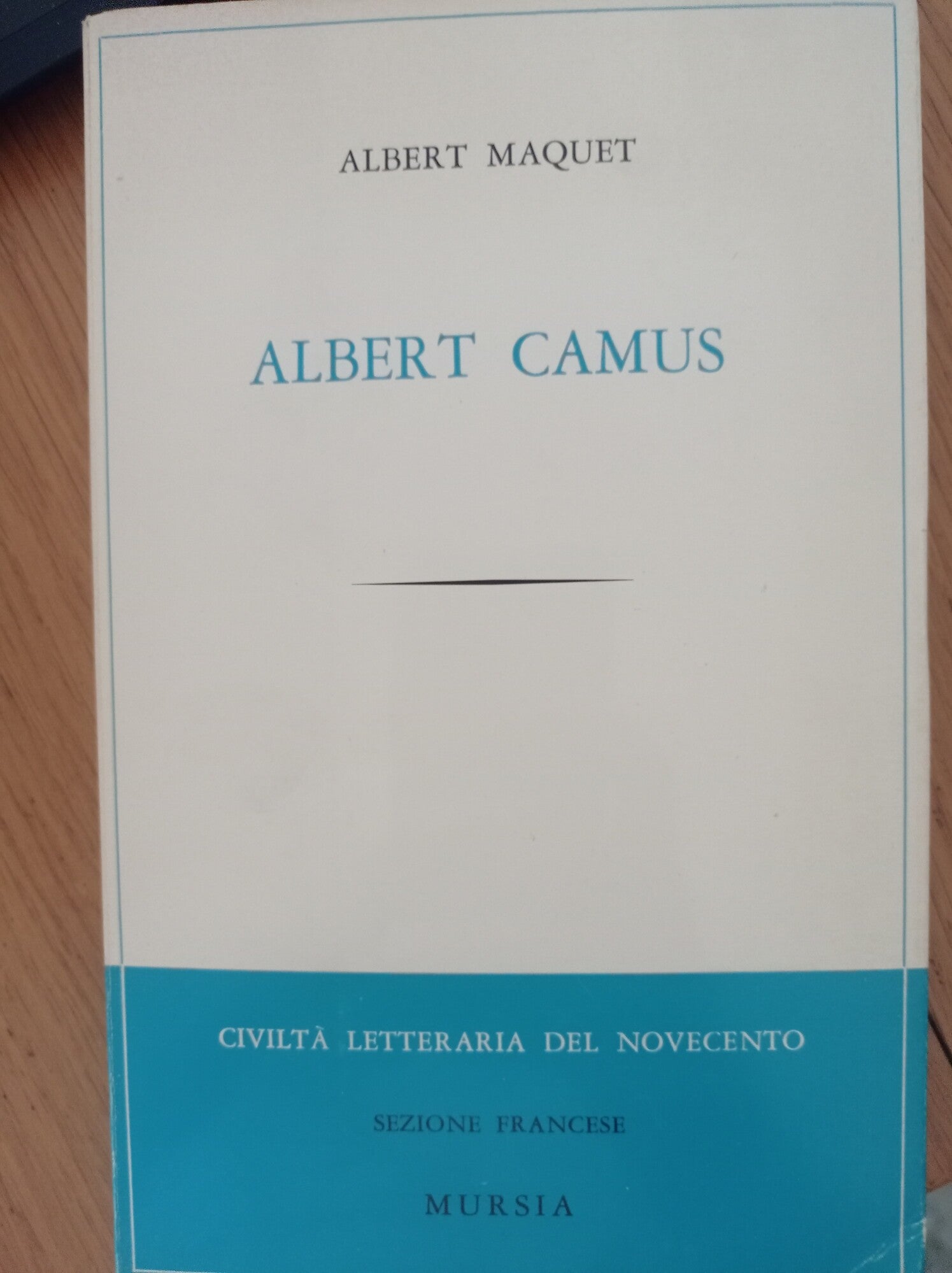Albert Camus - copertina