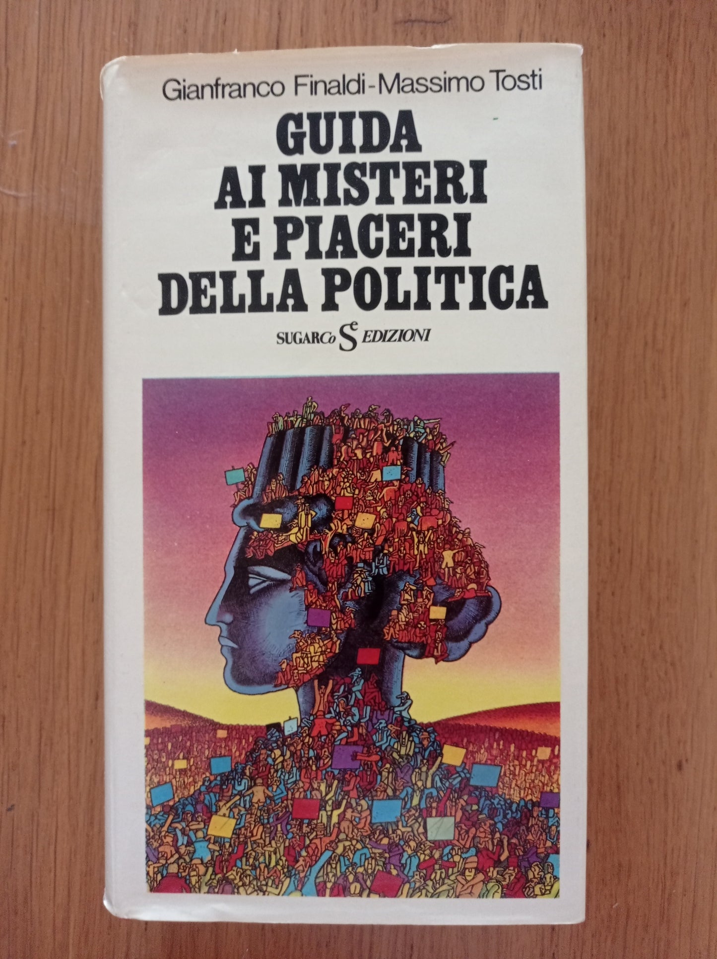 Guida ai misteri e piaceri della politica - copertina