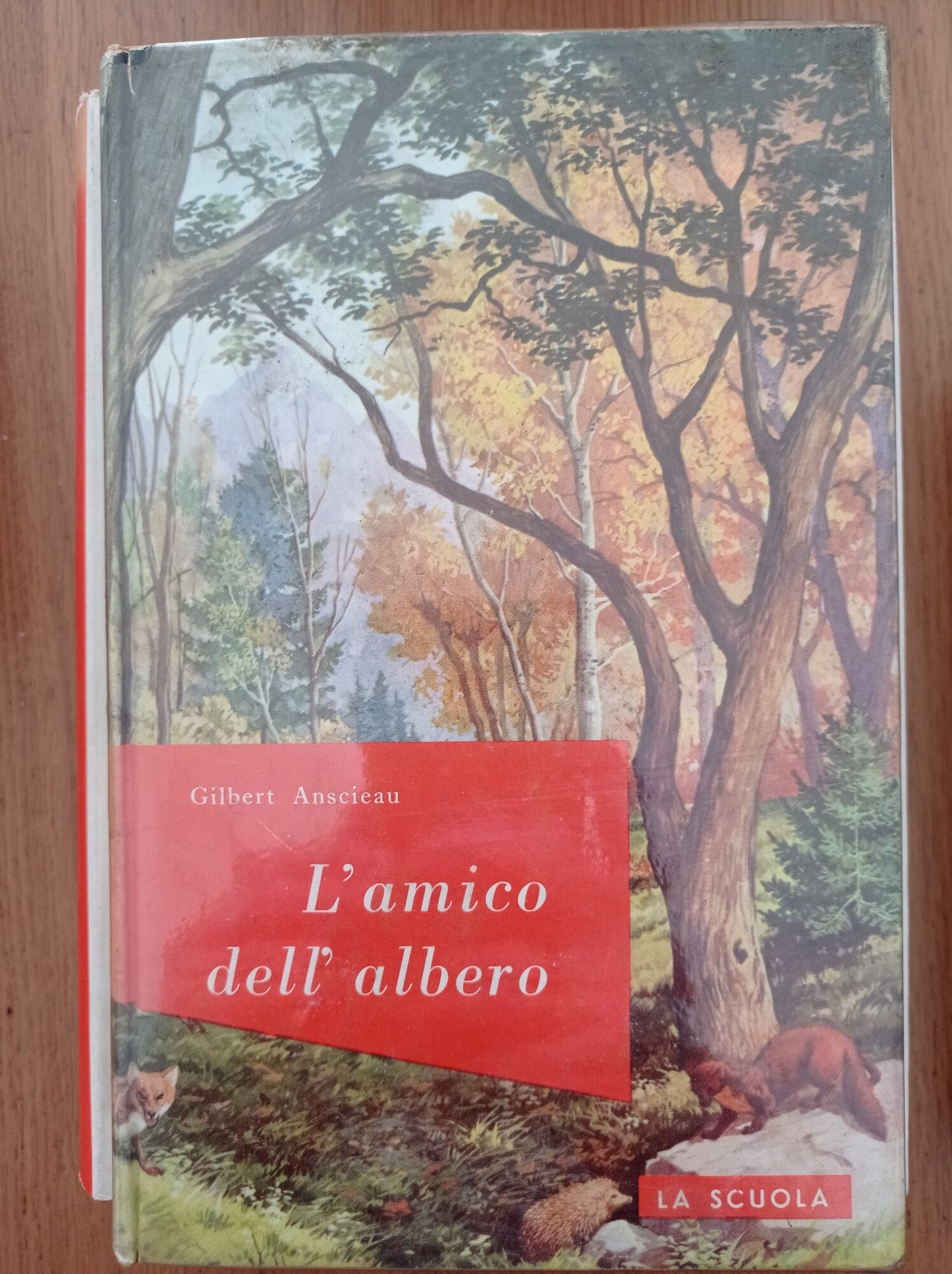 L' amico dell'albero - copertina