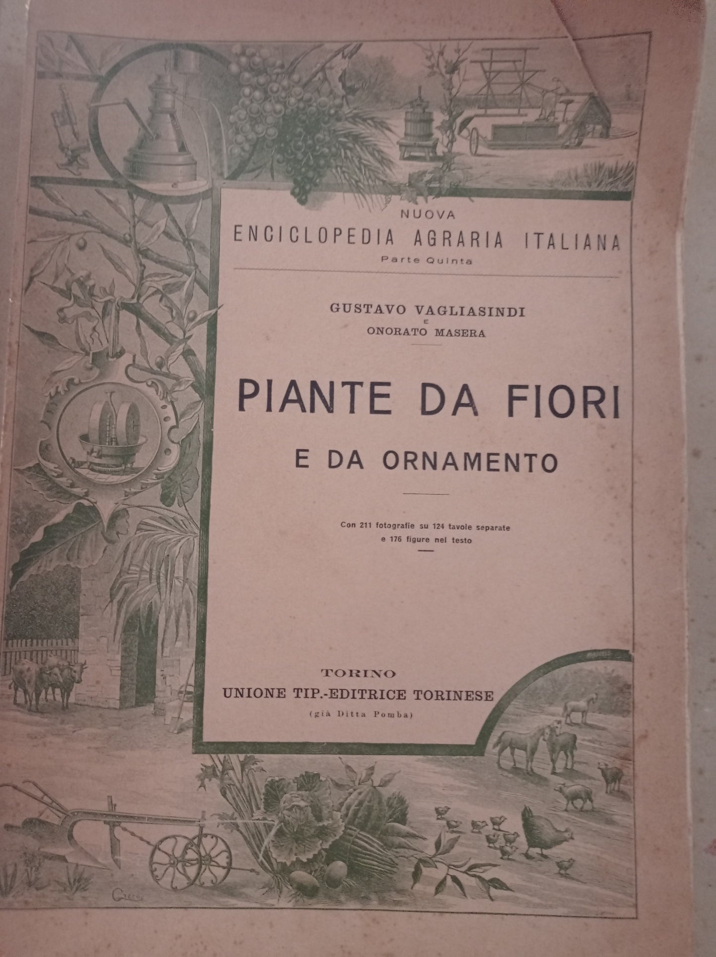 Piante da fiori e da ornamento - copertina