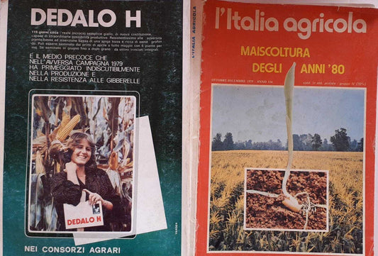 L'Italia agricola. Rivista trimestrale di scienza e tecnica agrarie. Anno 116 n.4 - copertina
