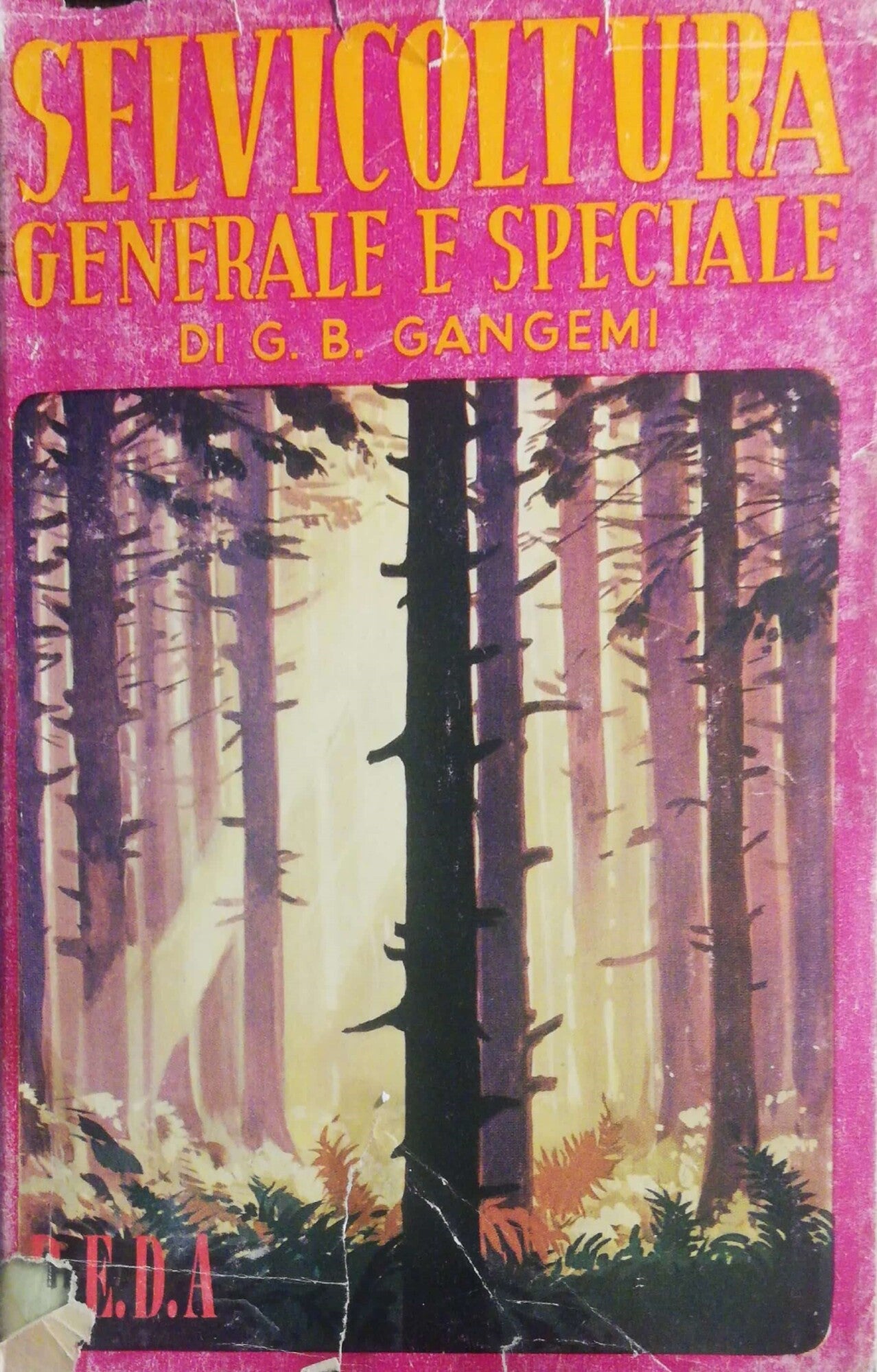 Selvicoltura generale e speciale - copertina