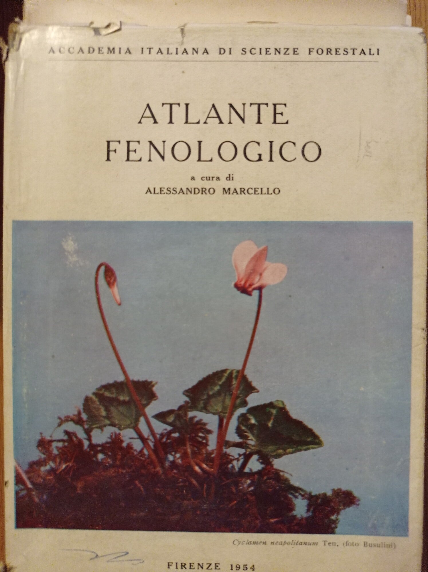 Atlante fenologico - copertina