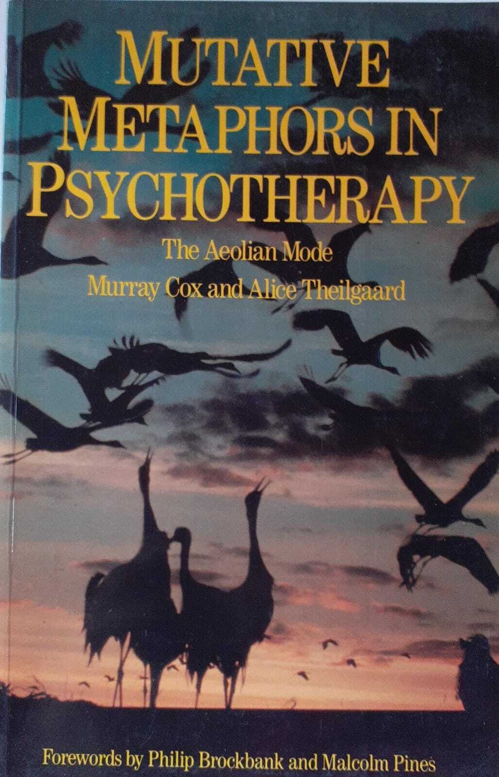 Mutative metaphors in psychotherapy.  The aeolian mode - copertina