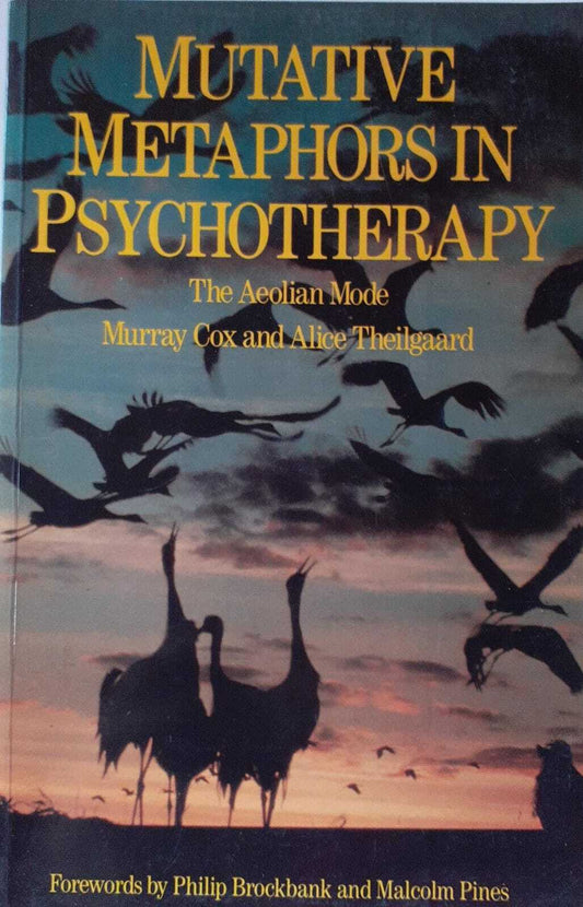Mutative metaphors in psychotherapy.  The aeolian mode - copertina
