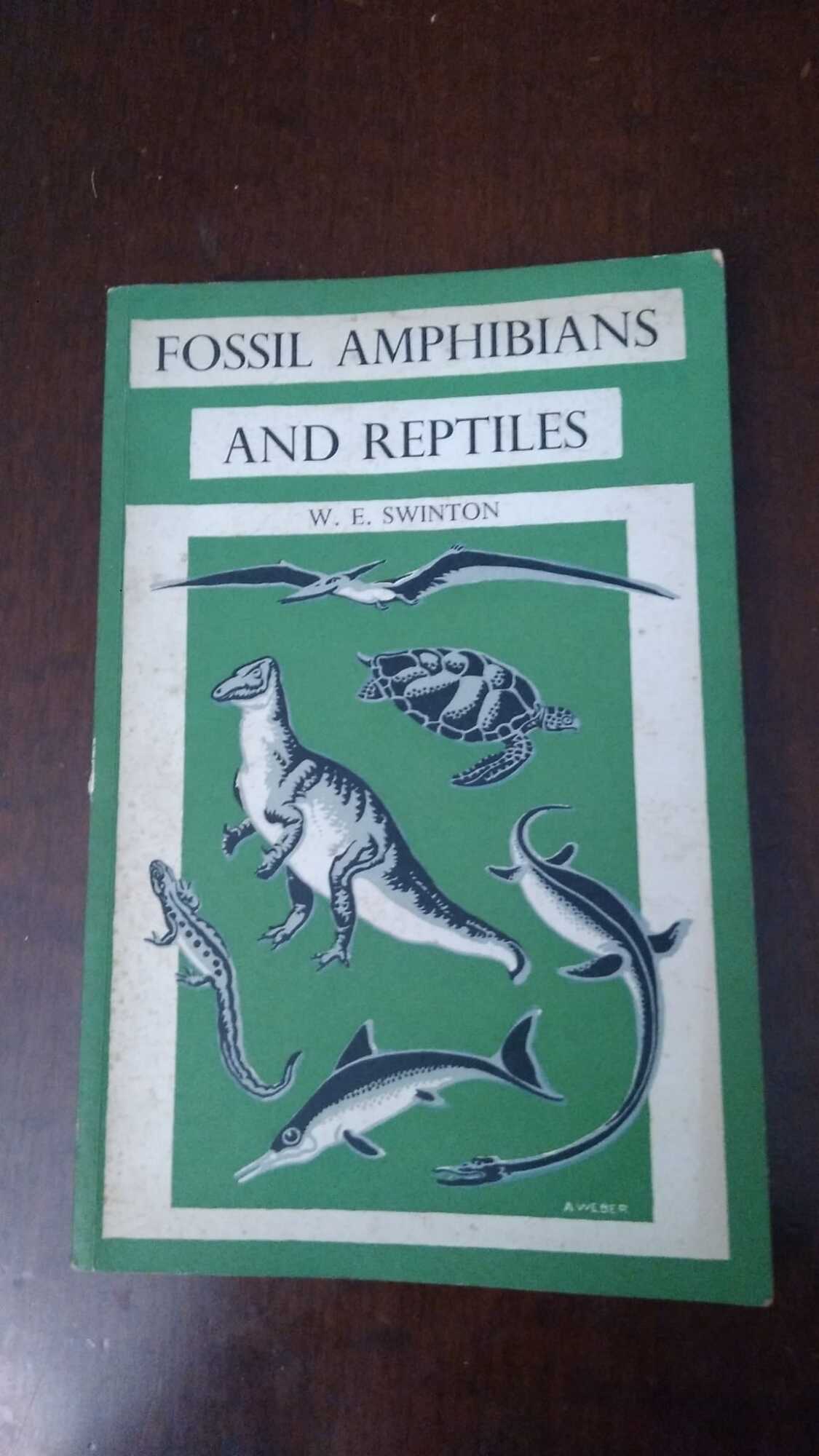 Fossil Amphibians and reptiles - copertina