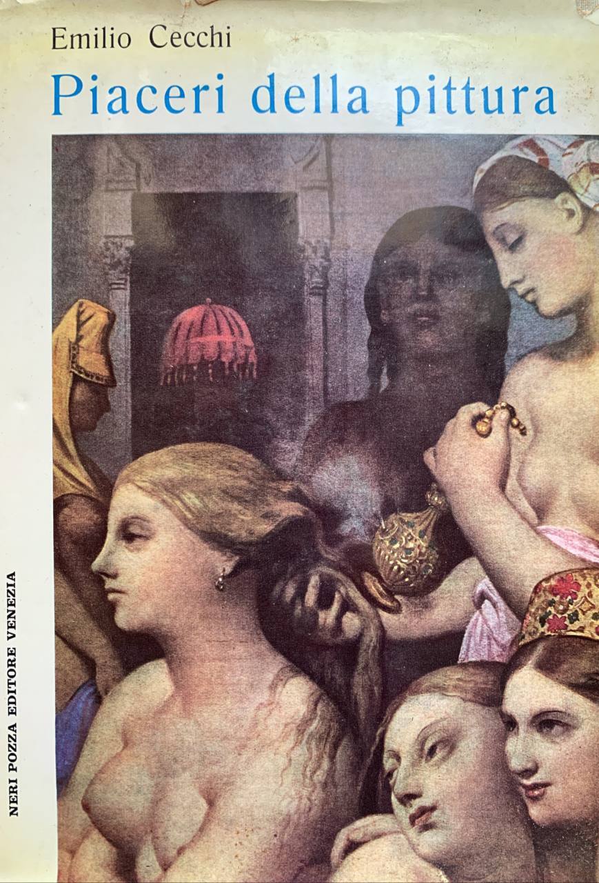 Piaceri della pittura - copertina