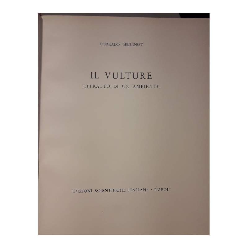IL VULTURE-RITRATTO DI UN AMBIENTE - copertina