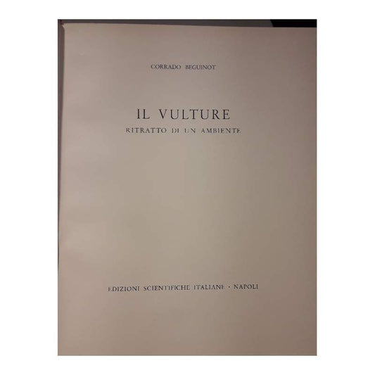 IL VULTURE-RITRATTO DI UN AMBIENTE - copertina