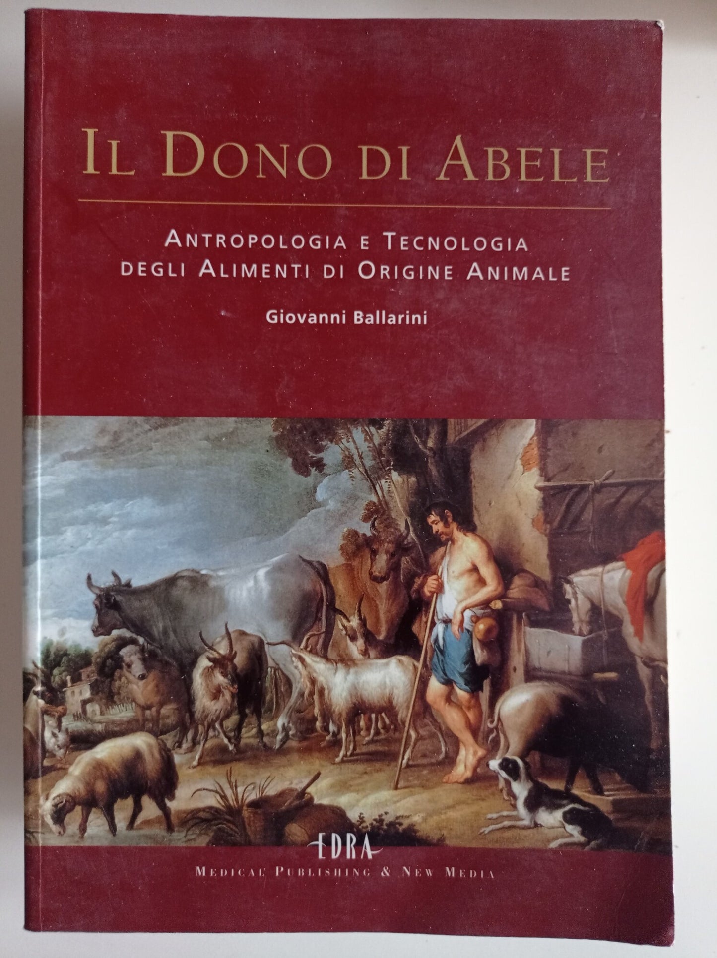 Il dono di Abele - copertina