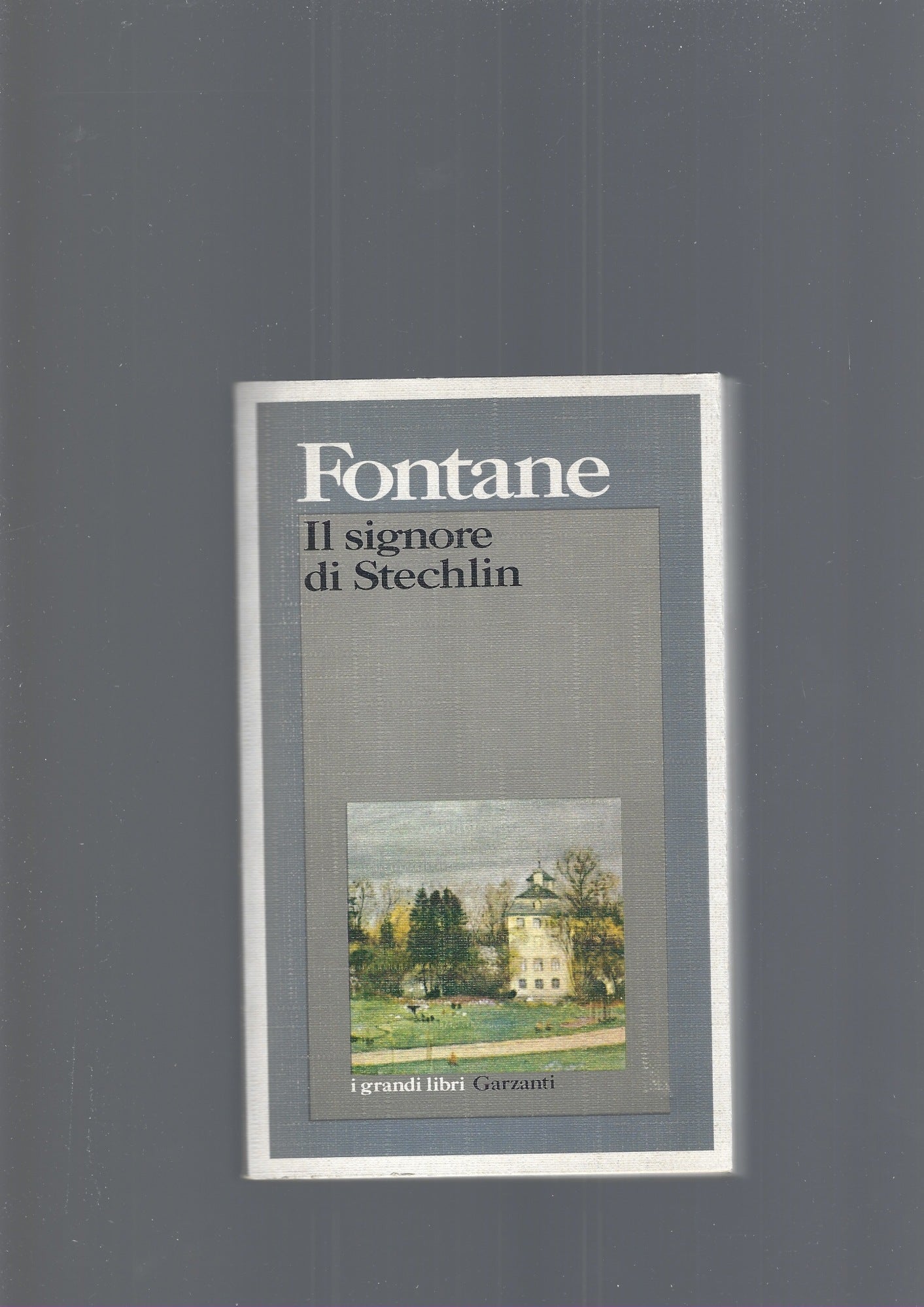 IL SIGNORE DI STECHLIN - copertina