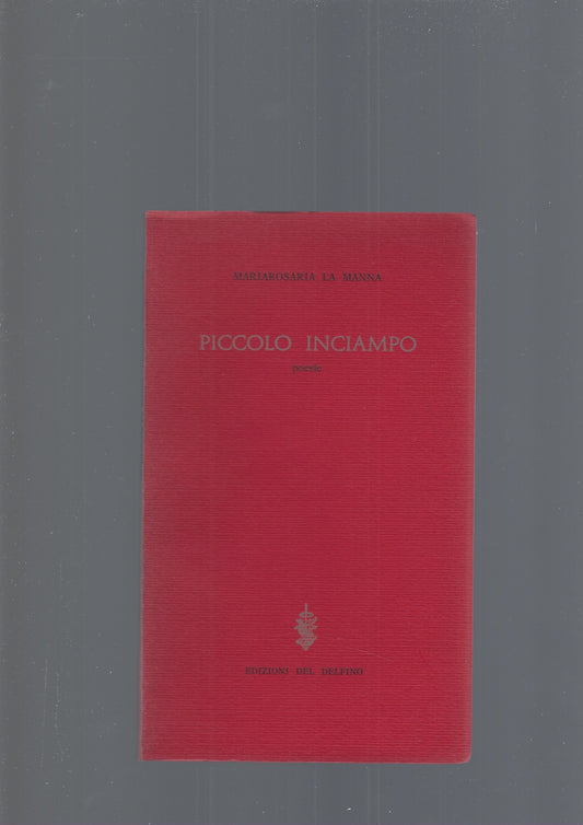 PICCOLO INCIAMPO - copertina
