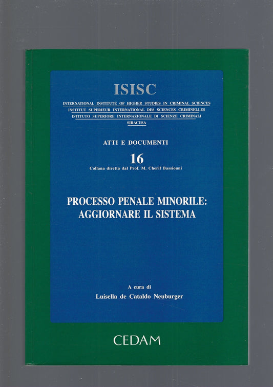 PROCESSO PENALE MINORILE: AGGIORNARE IL SISTEMA - copertina