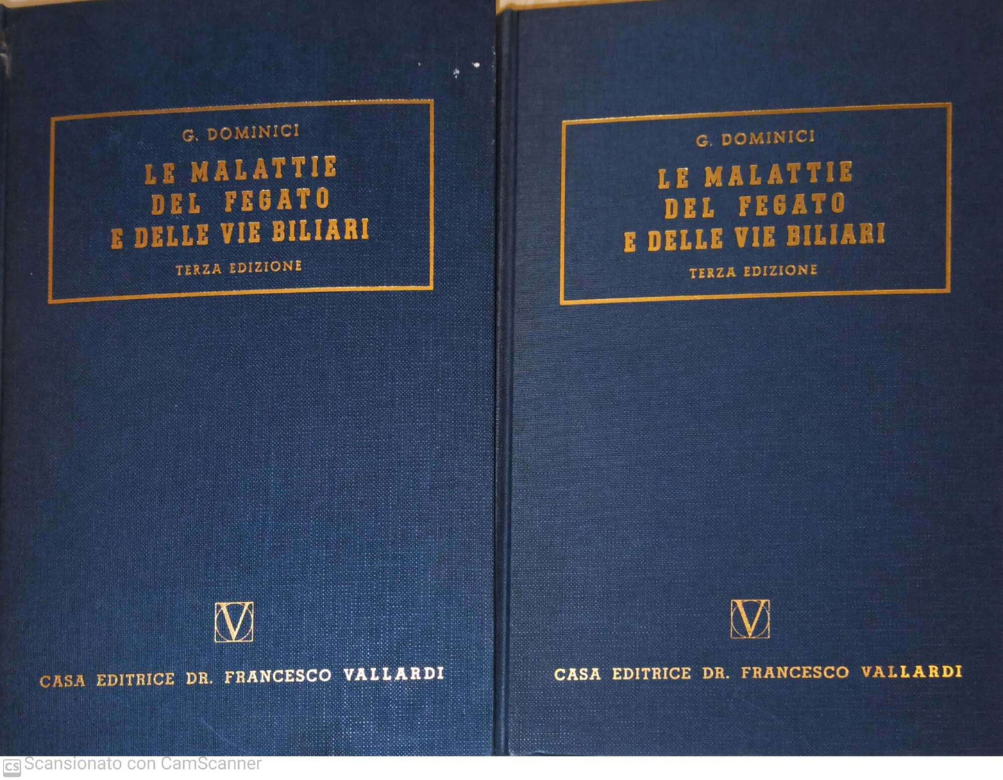 Collana di clinica medica. Le malattie del fegato e delle vie biliari - copertina