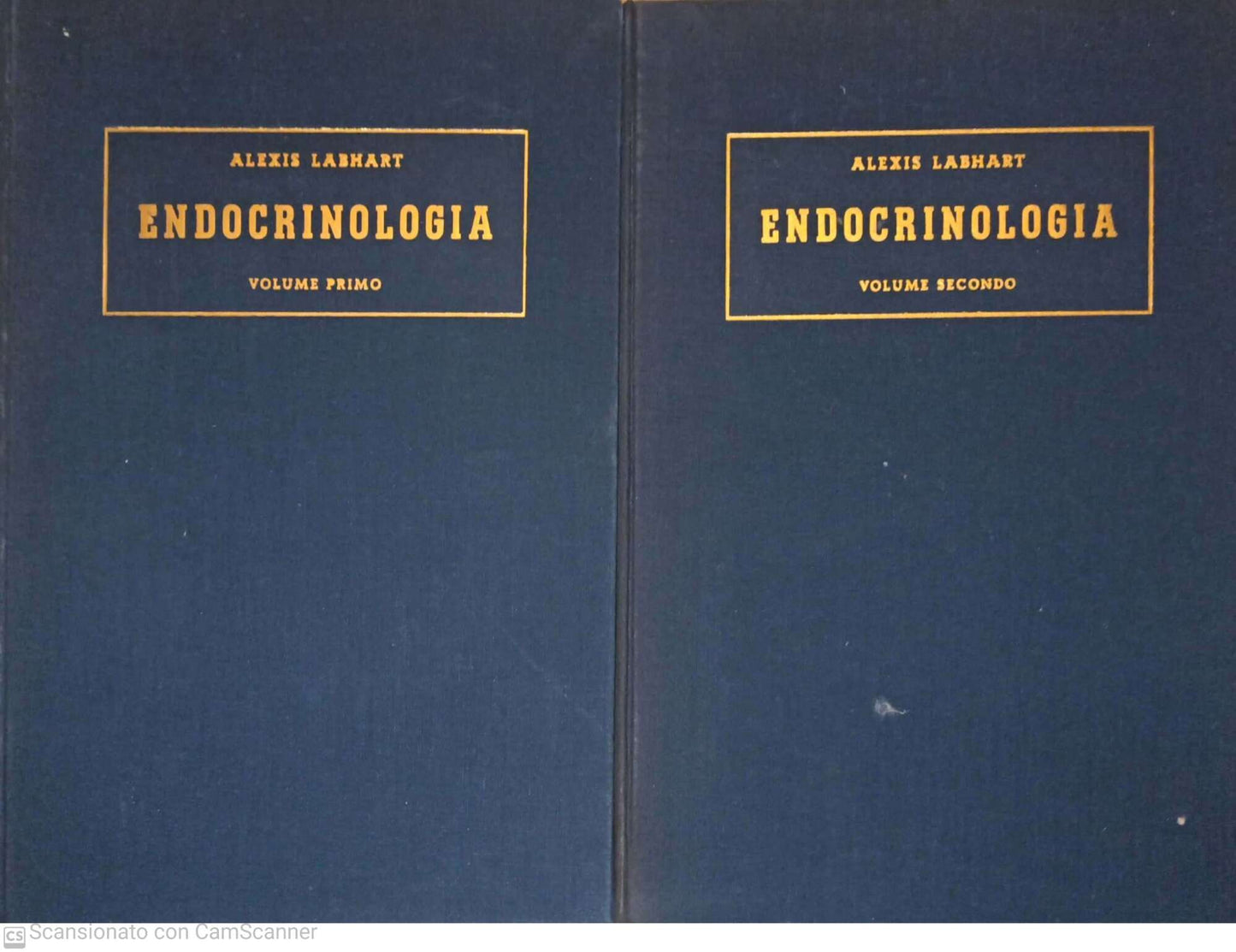 Trattato di endocrinologia - copertina