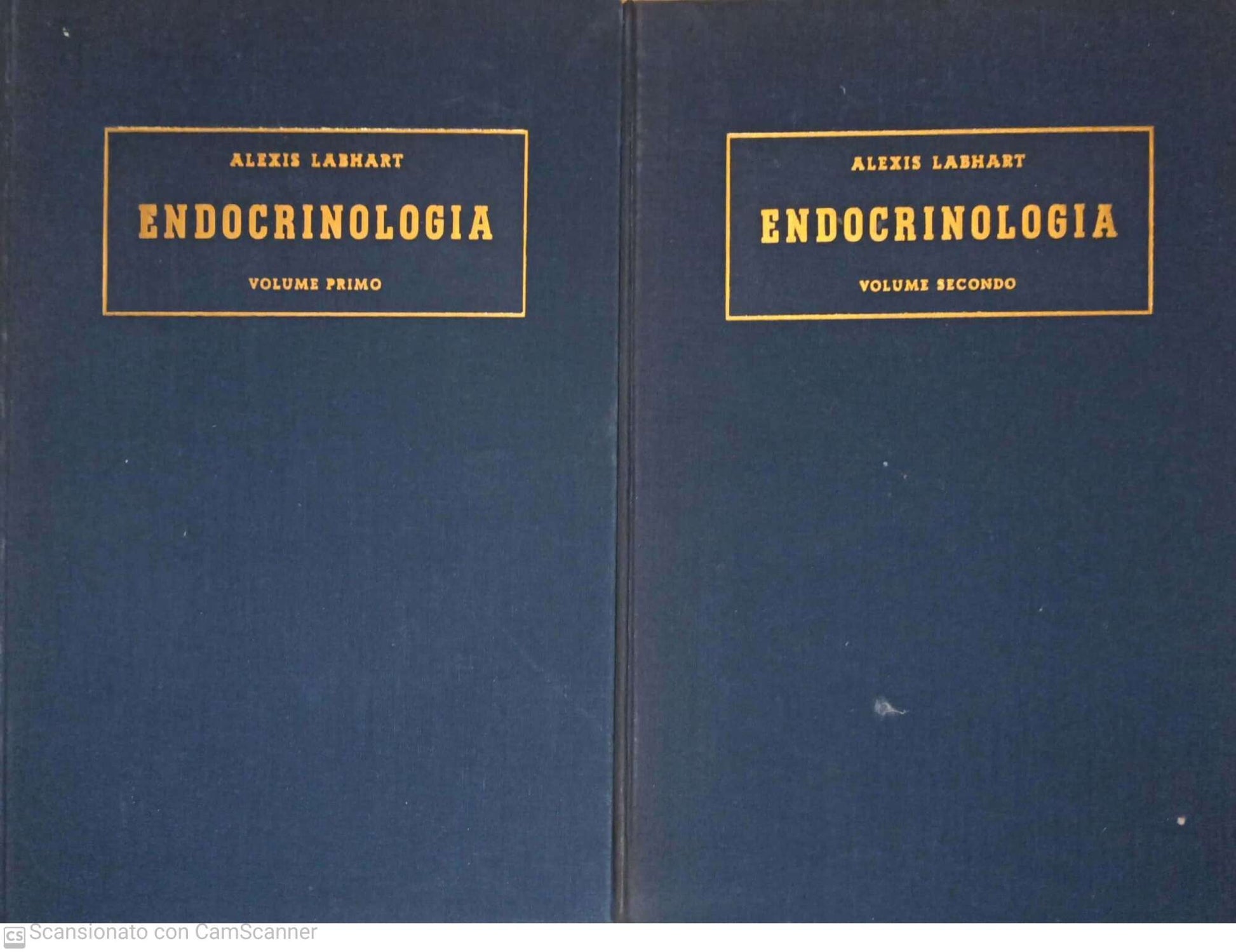 Trattato di endocrinologia - copertina