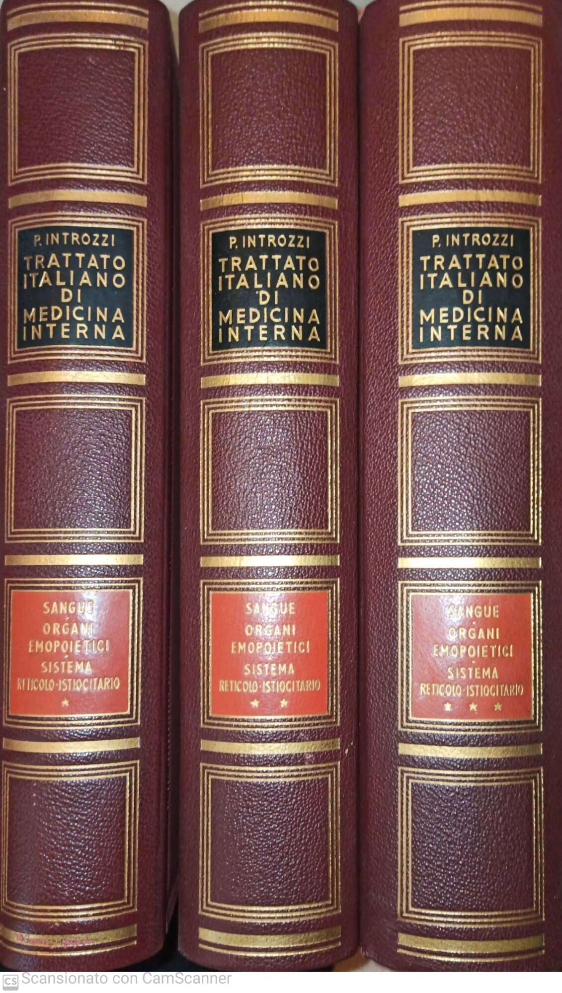 Trattato italiano di medicina interna. Malattie del sangue e degli organi emopoietici.Malattie del sistema reticolo-istiocitario - copertina