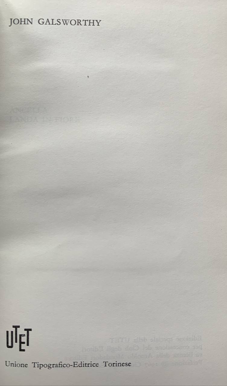 L'ancella - Landa in fiore - copertina